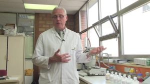 Alchimie du végétal