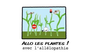 Allo les plantes&nbsp;!