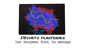 Déchets plastiques