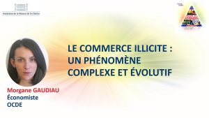 Le commerce illicite&nbsp;: un phénomène complexe et évolutif – Morgane GAUDIAU
