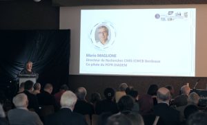 Le projet DIADEM&nbsp;: accélérer la découverte de nouveaux matériaux grâce à l’IA – Questions / Réponses