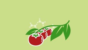 Les fruits et l&rsquo;éthylène