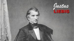 Liebig – Le boeuf en folie