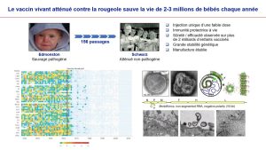 Mise au point d&rsquo;un vaccin&nbsp;: les méthodes traditionnelles dépassées par le SARS-CoV-2&nbsp;? – F. TANGY