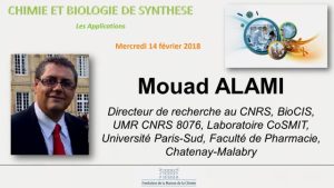 Mouad ALAMI – Nouvelles perspectives des isocombrétastatines en thérapie antivasculaire