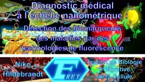 Niko HILDEBRANDT – Diagnostic médical à l’échelle nanométrique