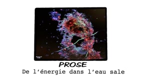 PROSE&nbsp;: de l&rsquo;énergie dans l&rsquo;eau sale