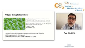 Quelles pistes pour tirer parti de la photosynthèse naturelle&nbsp;? – Paul COLONNA