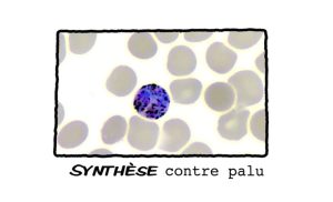 Synthèse contre palu