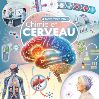 Colloque Chimie et Cerveau, le 4 novembre 2026